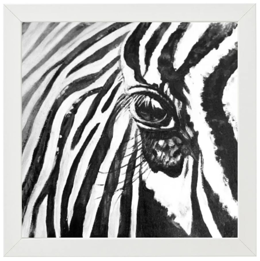 Zebra Series 1